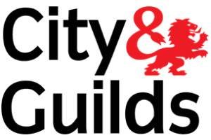 city-guilds-logo-1 (1)